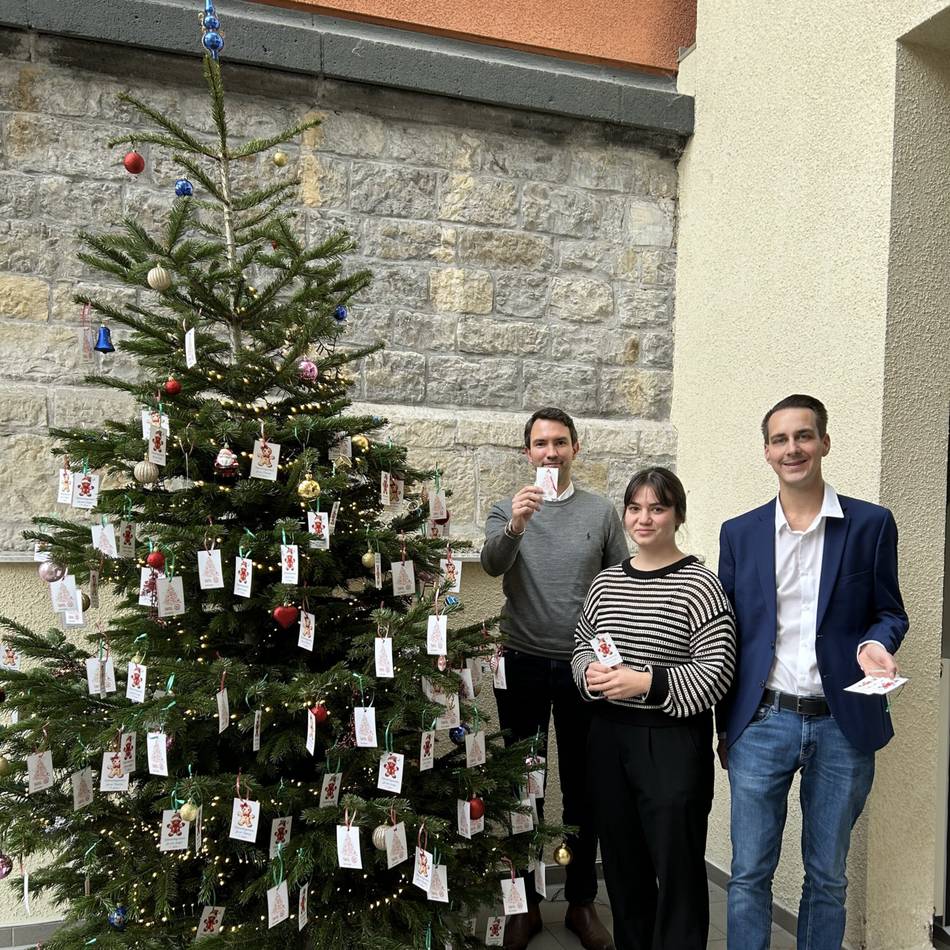 Bedacht werden 150 Kinder und Jugendliche aus Mettmann: Es hängen noch einige Zettel am Wunschbaum im Rathaus