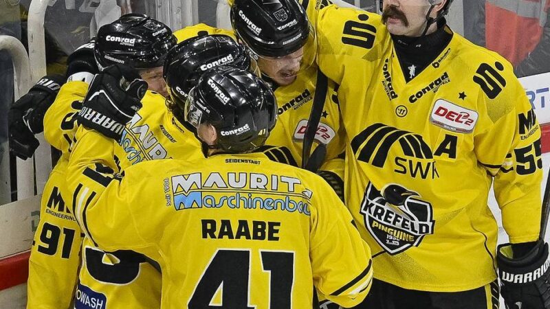 Richtungsweisende Duelle am Wochenende: Welche Derby-Lehre den Pinguinen Warnung genug sein sollte