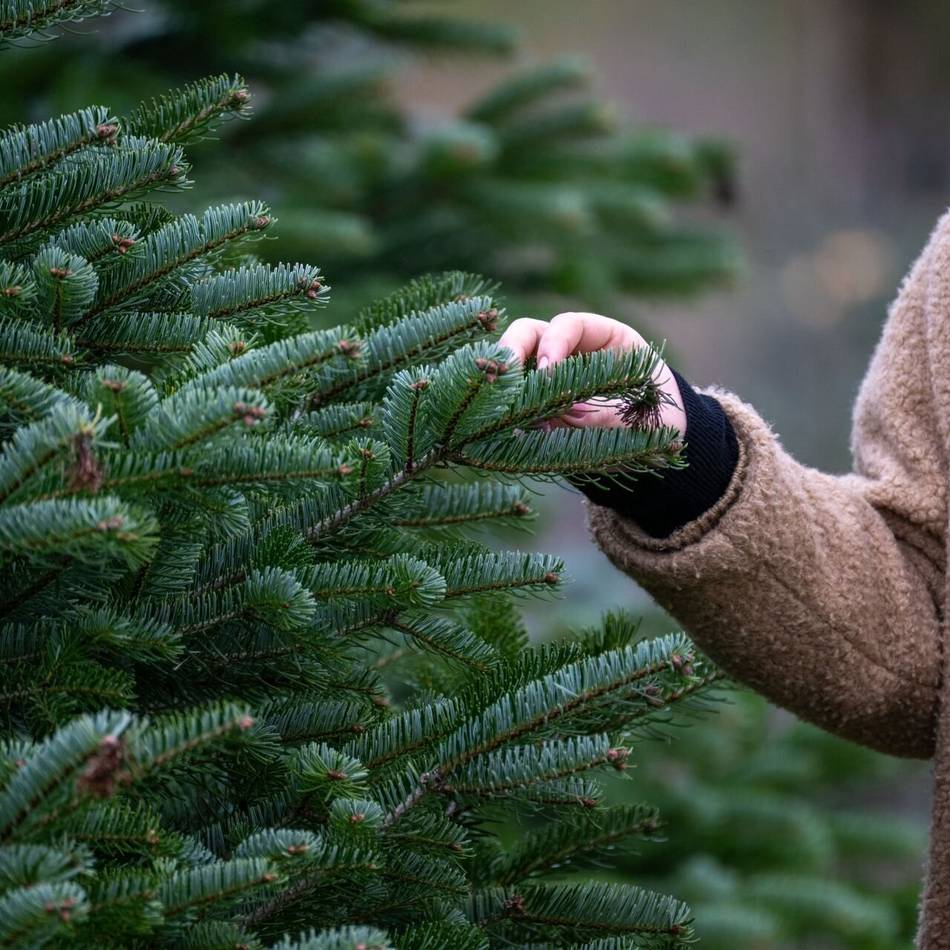 Spende in Willich: Aktion „Weihnachtswunderland“ zugunsten des Lions-Clubs