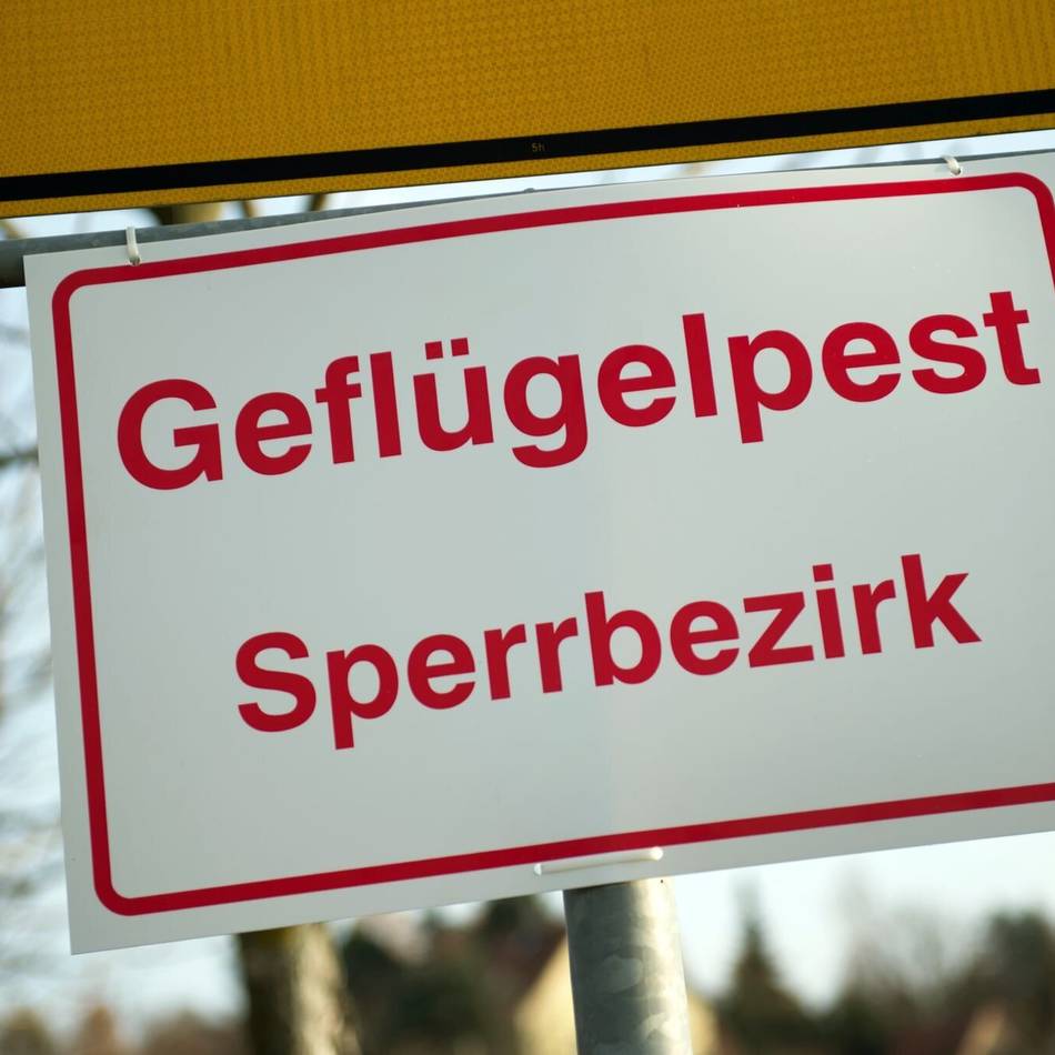 Sperrzone eingerichtet: Verdacht auf Geflügelpest in Kevelaer