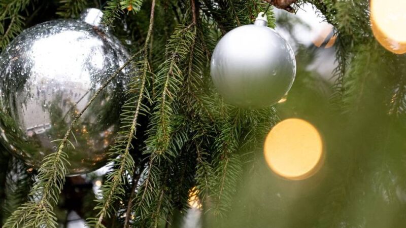 Adventsglück in Mettmann: Der Lions-Adventskalender öffnet täglich Türchen