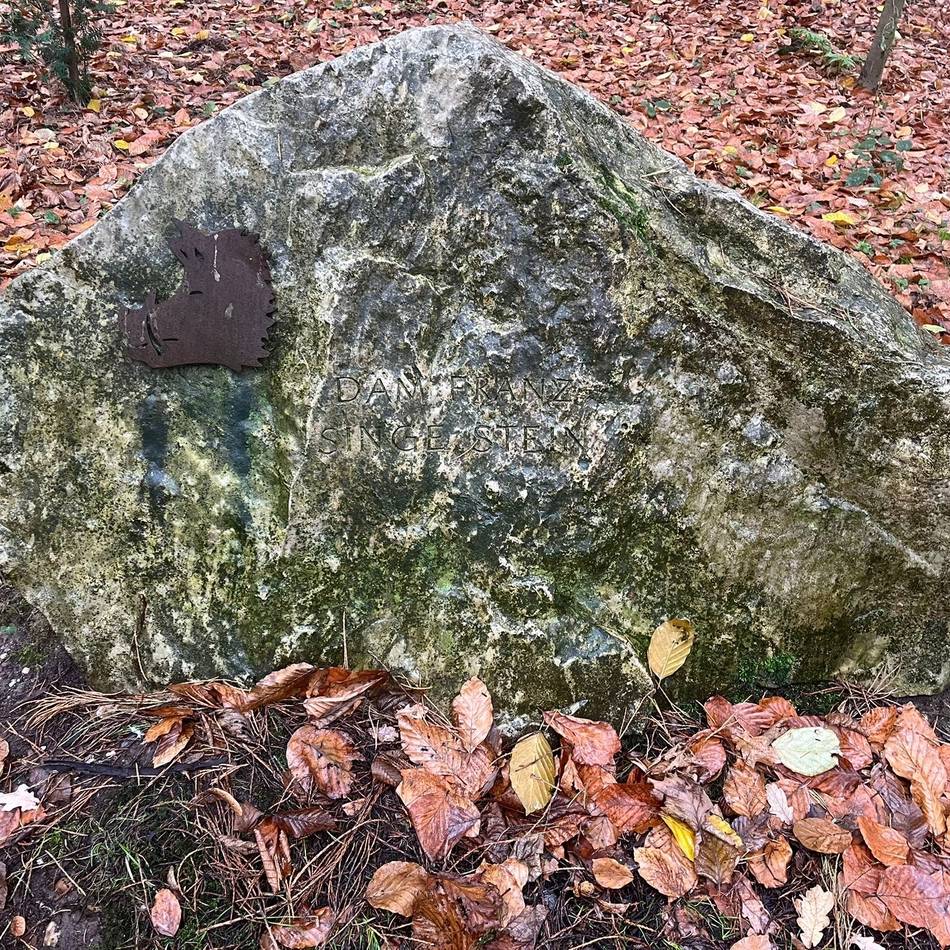 Fetischstein, Wildschwein-Altar oder Naturdenkmal: Das Rätsel um „Däm Franz singe Stein“ ist gelöst
