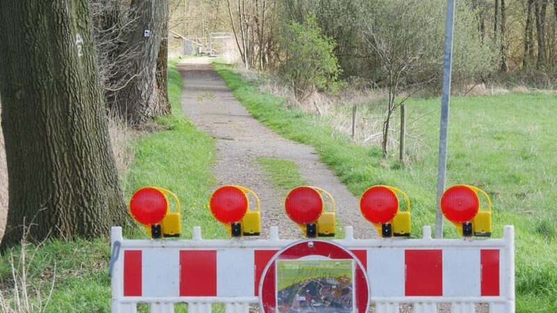 Probleme in Breyell: Biber knabbert alte Eichen an