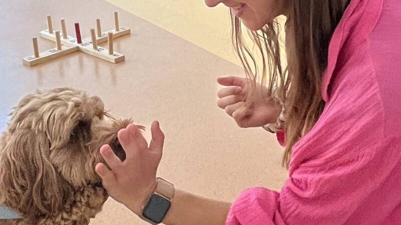 Therapiebegleithund in der LVR-Klinik: Genesung durch flauschiges Fell und Schwanzwedeln