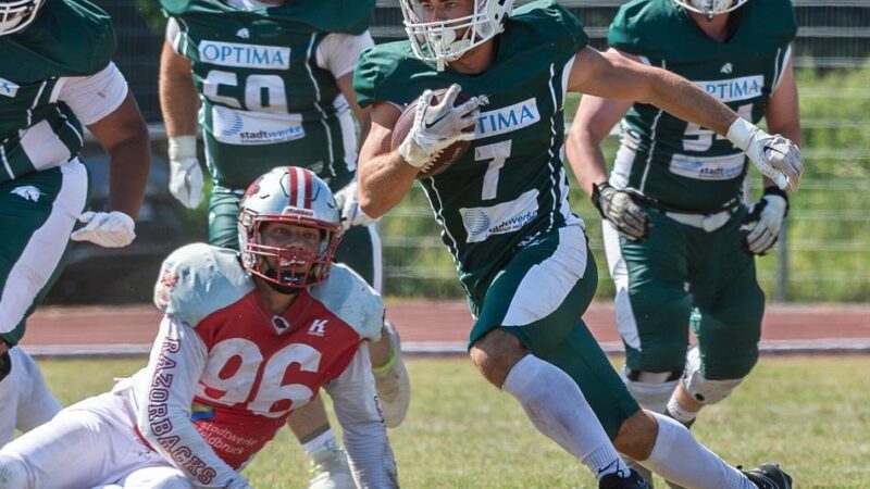 Langenfelder basteln am Kader: Hochkarätiges Talente-Quartett schließt sich den Longhorns an – ein Fan-Liebling bleibt