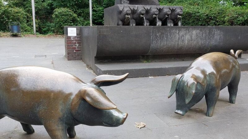 Metalldiebe im gesamten Rhein-Kreis: Dormagener sorgen sich um ihre Bronze-Schweine