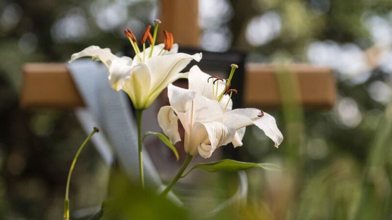 So erleben Trauernde in Neuss die Adventszeit: „Weihnachten wird nie mehr so werden, wie es früher war“