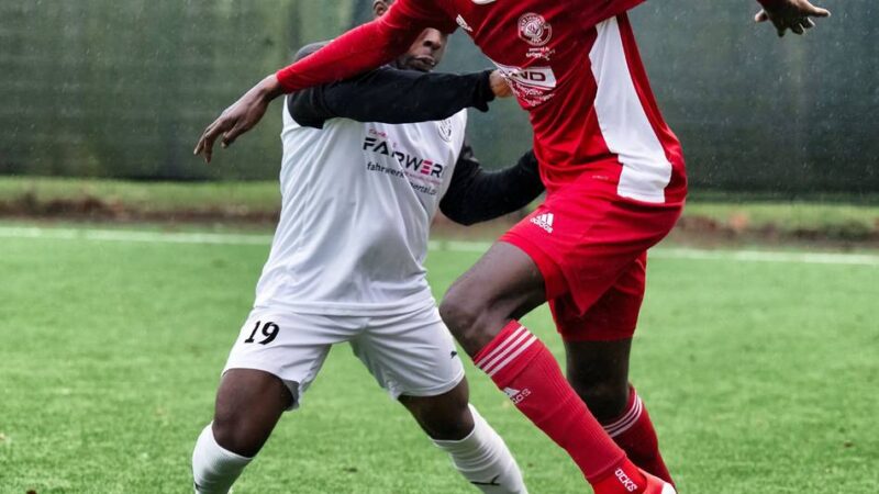 Langenfeld spielt dominant: Der HSV siegt und blickt bereits auf Reusrath