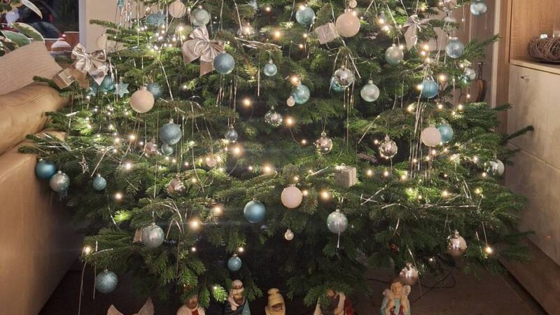 Fotoaktion in Viersen: So schön sind Ihre Weihnachtsbäume