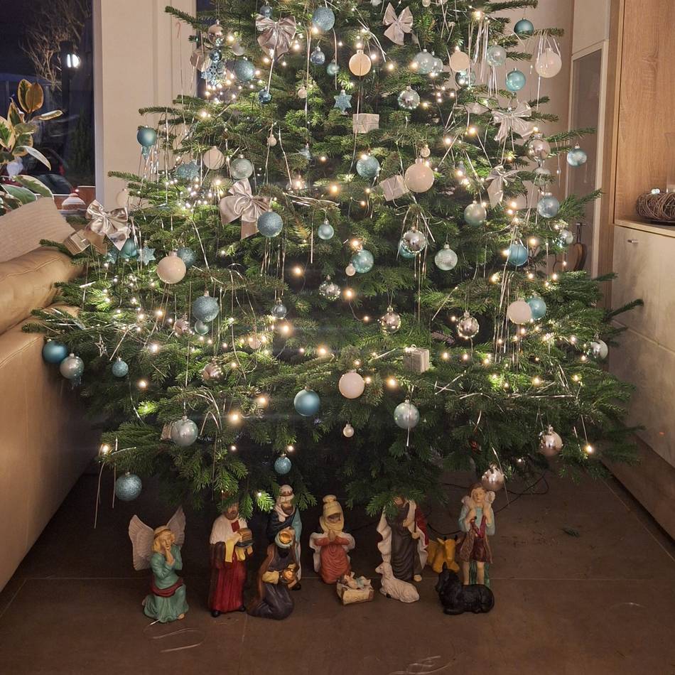 Fotoaktion in Viersen: So schön sind Ihre Weihnachtsbäume