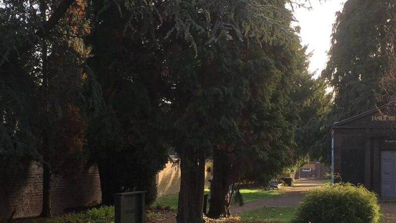 Beschluss des Rates: Friedhofsgebühren werden 2026 erhöht