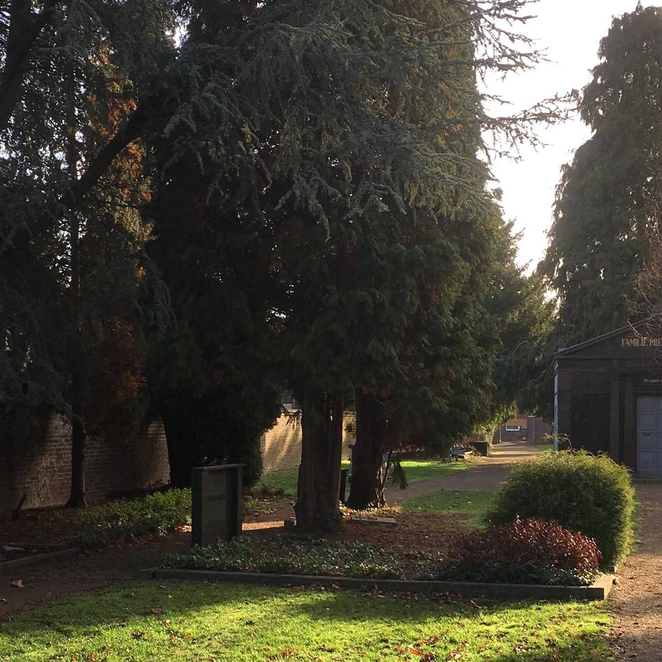 Beschluss des Rates: Friedhofsgebühren werden 2026 erhöht