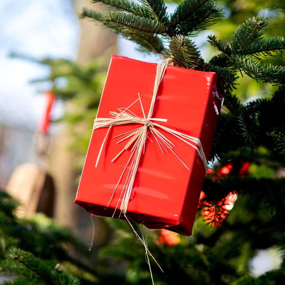 Psychologin aus Mönchengladbach gibt Tipps: Wie sich Streit an Weihnachten verhindern lässt