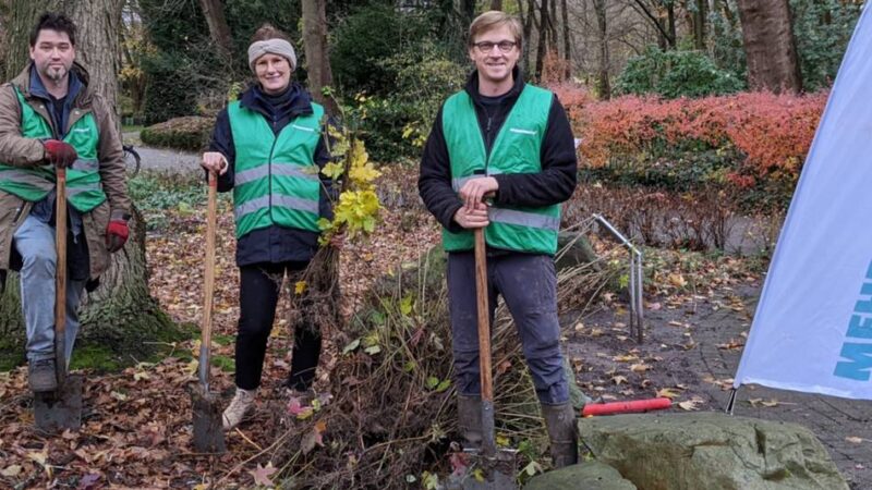 Mehr Grün im Garten: Kreis Viersen verschenkt wieder Baumsetzlinge