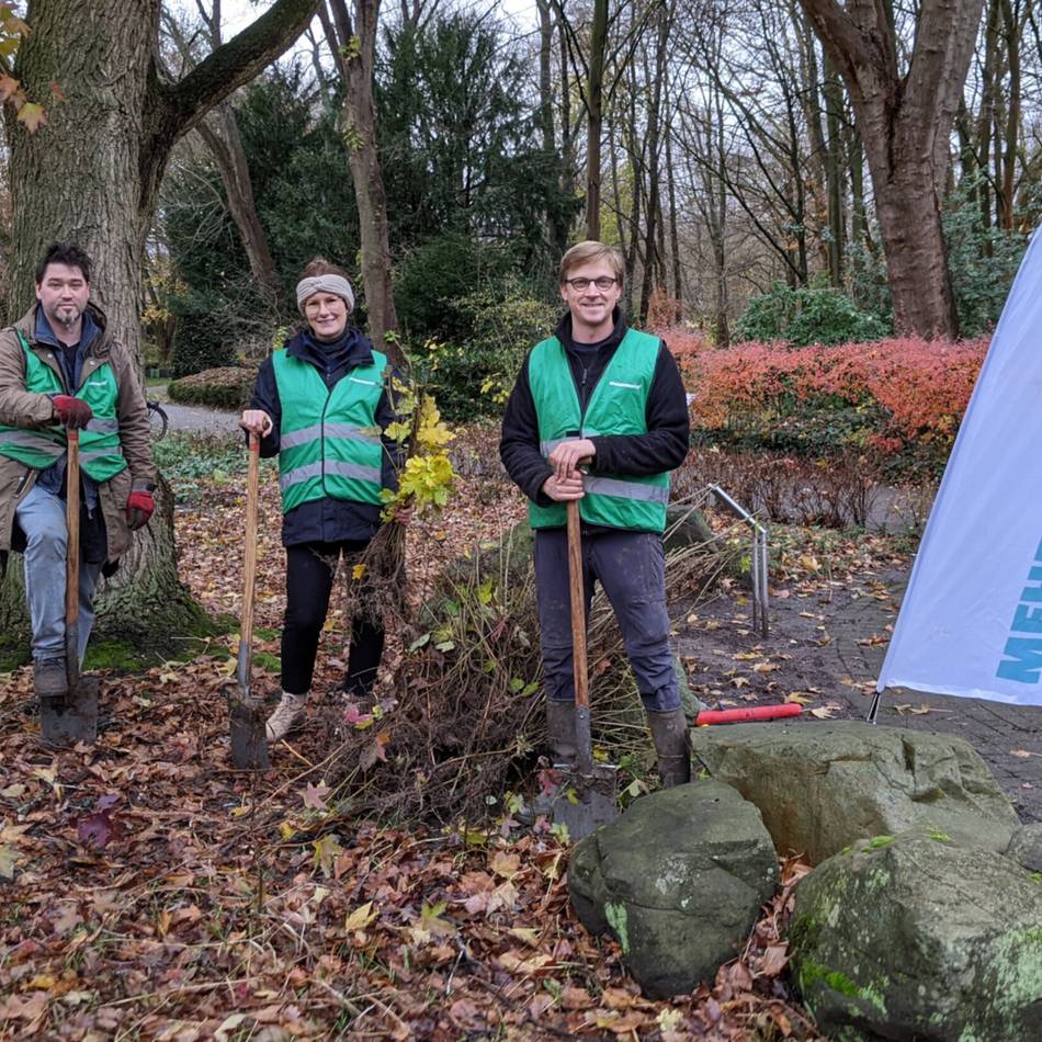 Mehr Grün im Garten: Kreis Viersen verschenkt wieder Baumsetzlinge