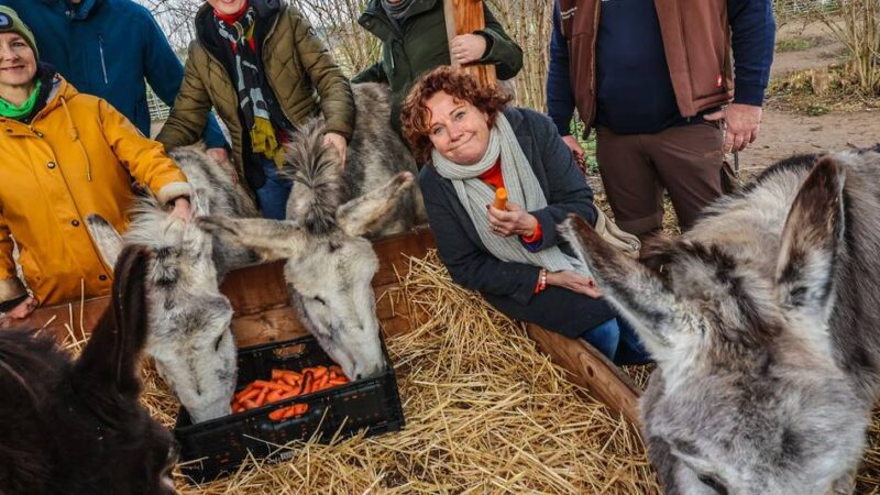 Landwirtschaftsministerin besucht Eselpark: Ein großes Lob für das Engagement der Norffs