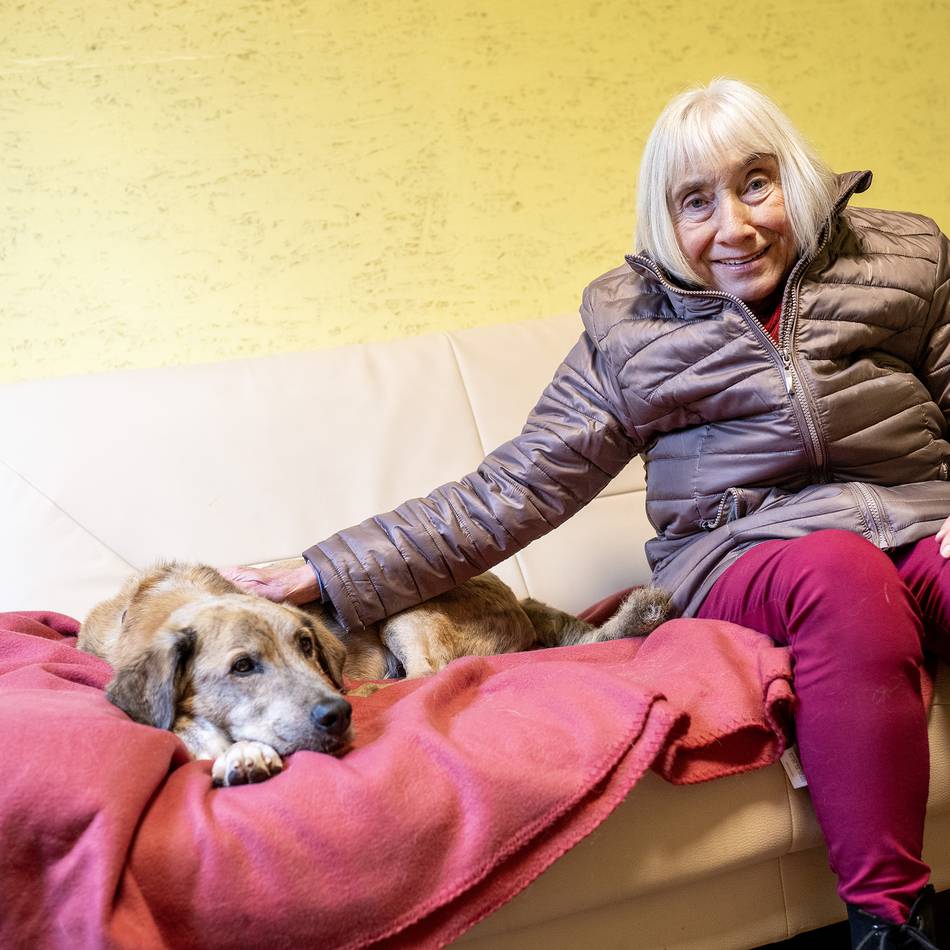 Tierschutz in Düsseldorf: Auch an Weihnachten wird im Tierheim gekuschelt