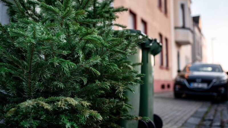 Termine im Januar: Wann die Stadt Duisburg die Weihnachtsbäume abholt