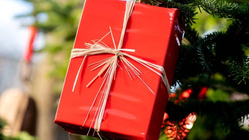 Mehr als 600 Gäste erwartet: Vorweihnachliches Konzert am Pascal-Gymnasium