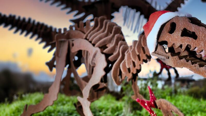 In Monheim: Baumberger Dinos im Weihnachtsfieber