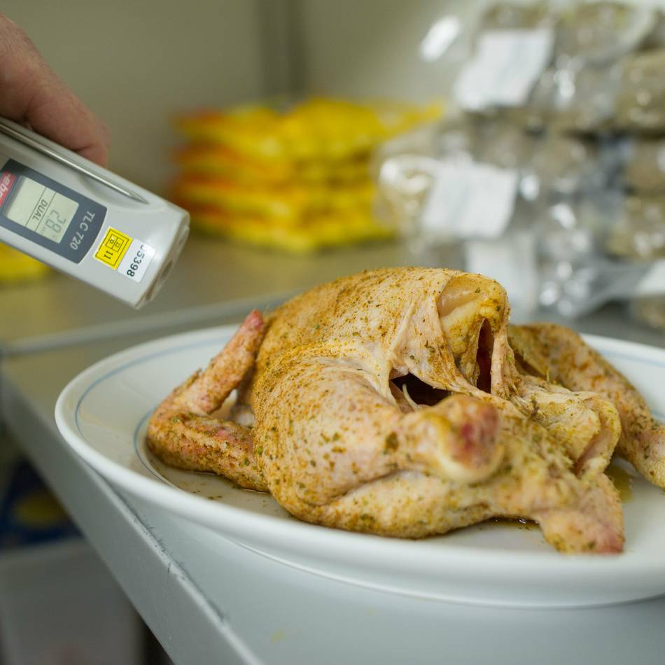 Gastronomen befürworten Kontrollen: „Erhebliches Aufkommen von Schädlingen“ – Ekel-Restaurant in Dormagen