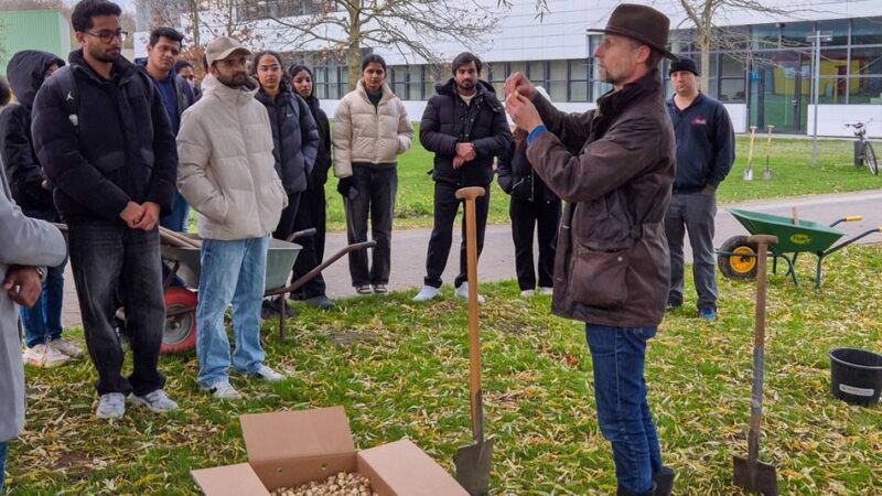 Forschungsprojekt in Kleve: 15.000 Blumenzwiebeln markieren den Start eines Experiments