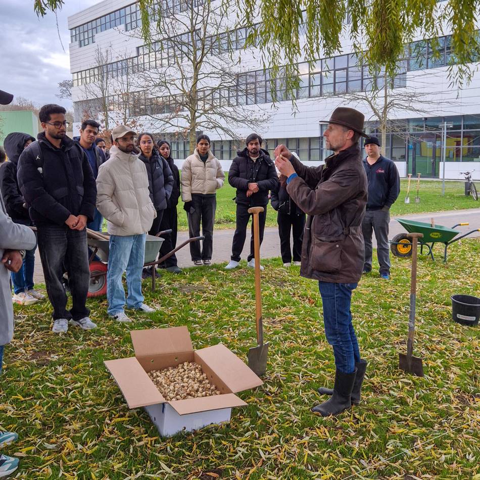 Forschungsprojekt in Kleve: 15.000 Blumenzwiebeln markieren den Start eines Experiments