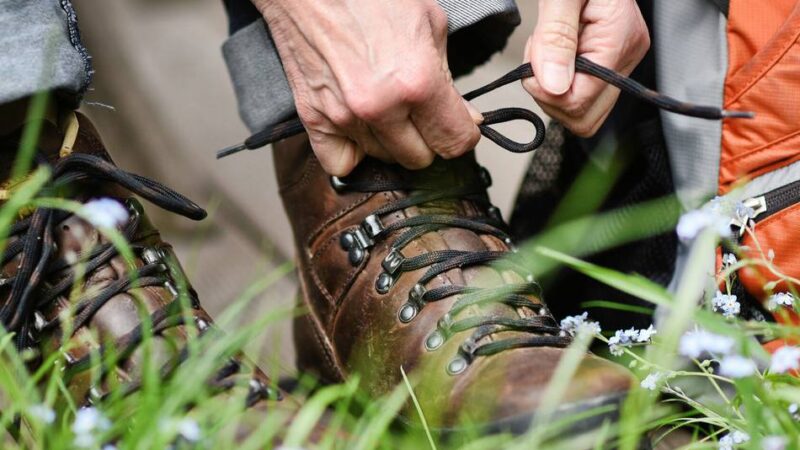 Naturpark Schwalm-Nette: Kalender mit Veranstaltungen liegt bereit