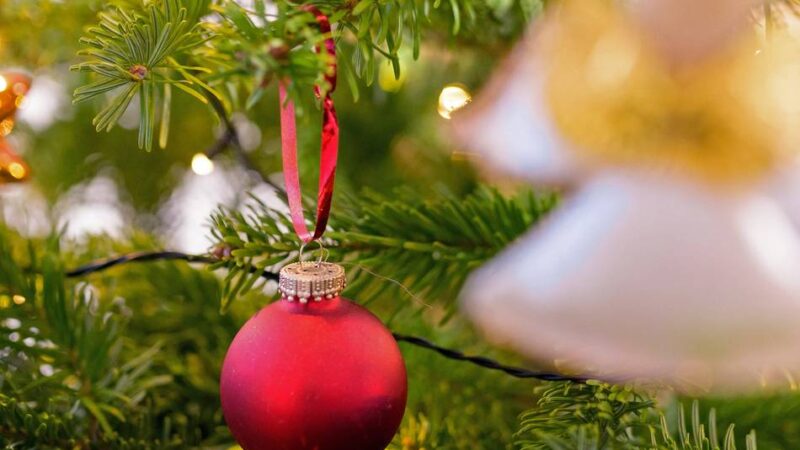 Verkauf in Leverkusen: Weihnachtbaum? Gibt’s gleich um die Ecke