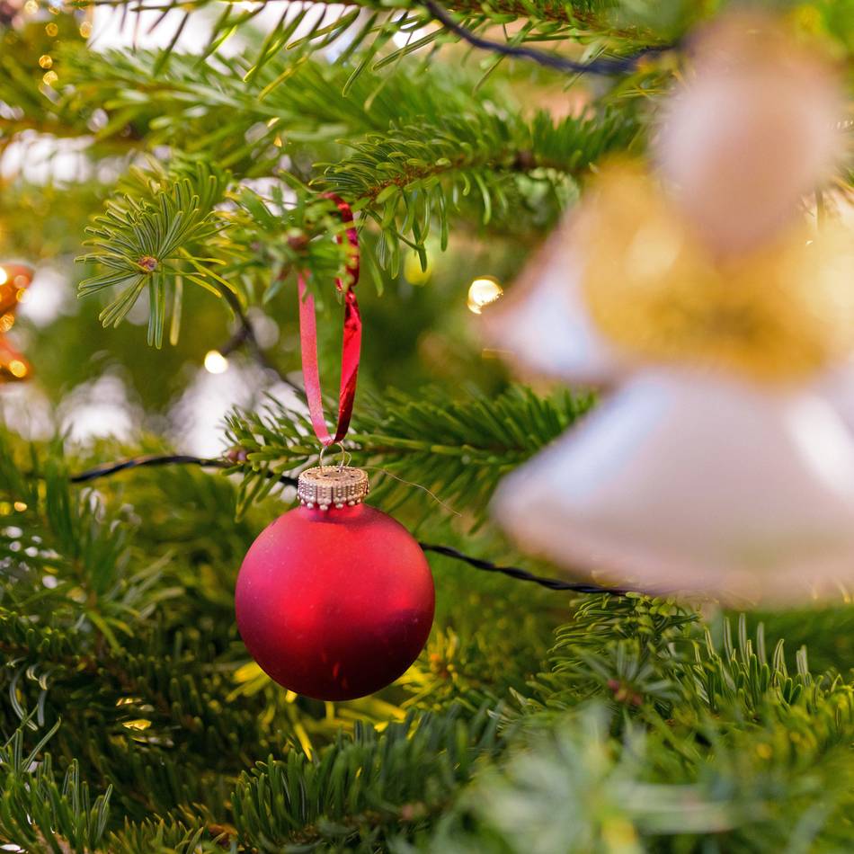 Verkauf in Leverkusen: Weihnachtbaum? Gibt’s gleich um die Ecke