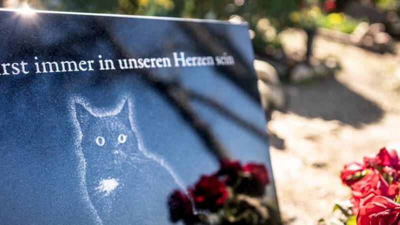 Ein Ort des Abschieds: Kleve könnte einen Friedhof für Tiere bekommen