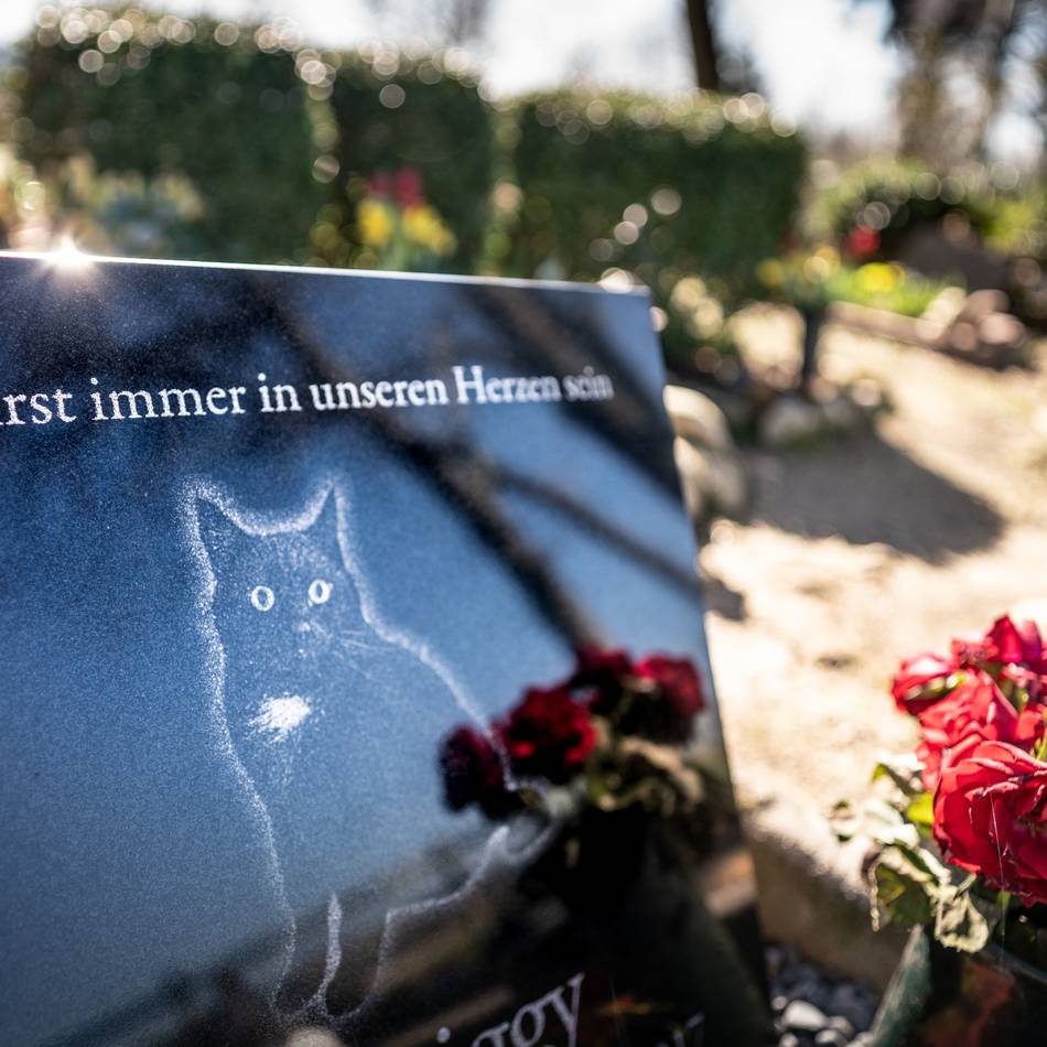 Ein Ort des Abschieds: Kleve könnte einen Friedhof für Tiere bekommen