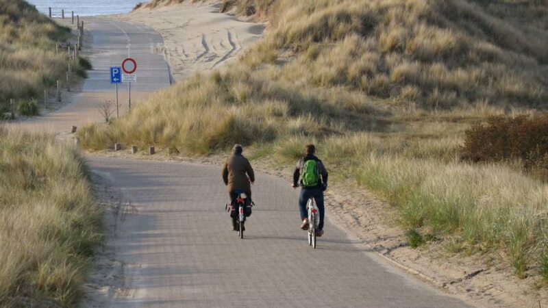 Ungeliebte Nager im Idyll: Niederländische Urlaubsinsel Terschelling im Kampf gegen Ratten