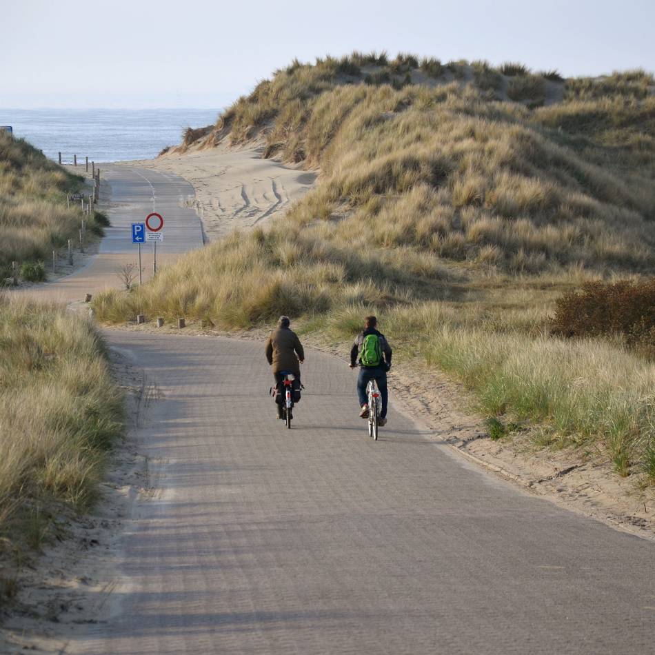 Ungeliebte Nager im Idyll: Niederländische Urlaubsinsel Terschelling im Kampf gegen Ratten