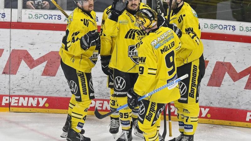 Reiseintensives Wochenende steht bevor: Den Pinguinen bietet sich bei den Lausitzer Füchsen eine willkommene Chance