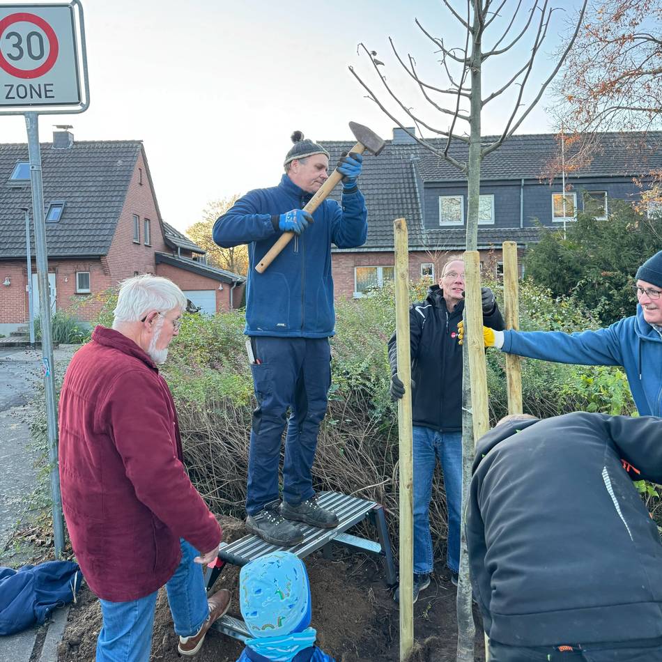 Bienenzuchtverein Alpen-Rheinberg-Sonsbeck: Bienenzuchtverein pflanzt gespendete Silberlinde in Borth