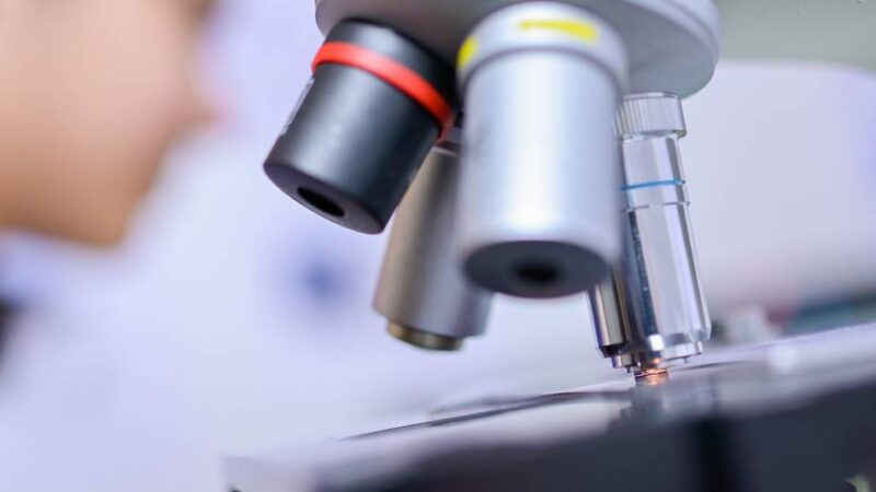 51 Arbeiten eingereicht: Viel Resonanz für „Jugend forscht“ aus dem Rhein-Kreis Neuss