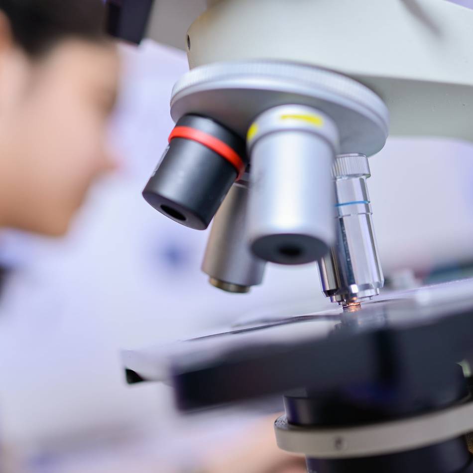 51 Arbeiten eingereicht: Viel Resonanz für „Jugend forscht“ aus dem Rhein-Kreis Neuss