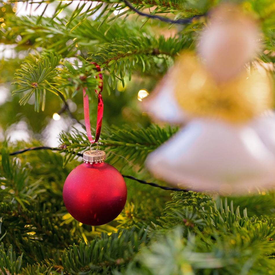 Adventsglück in Mettmann: Das sind die Glückszahlen der zweiten Gewinnerwoche bei den Lions