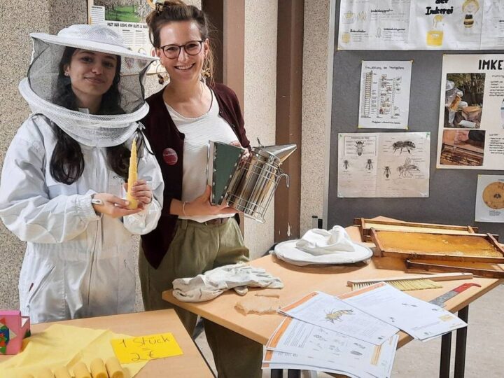 Dietrich Bonhoeffer-Gymnasium Ratingen: Reichlich Infos über schulischen Alltag und mehr