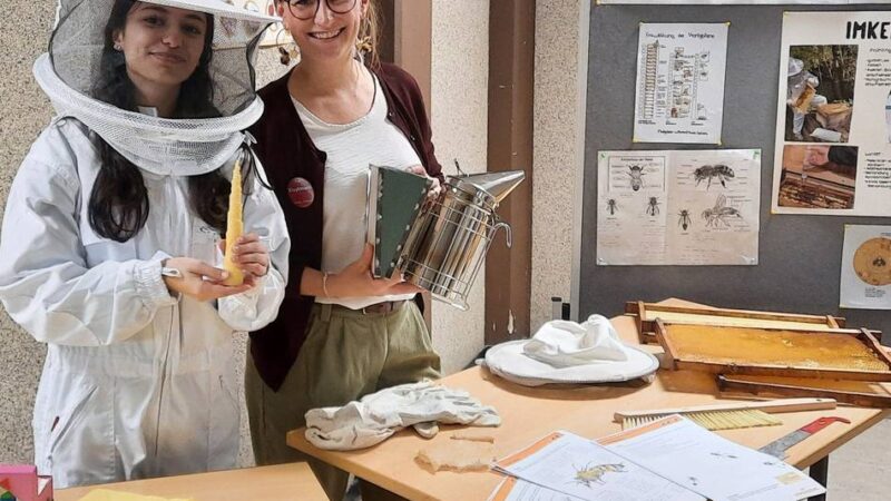 Dietrich Bonhoeffer-Gymnasium Ratingen: Reichlich Infos über schulischen Alltag und mehr
