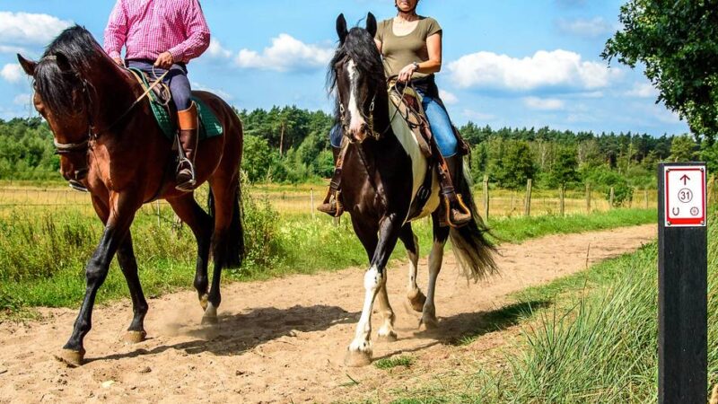 Grenzüberschreitung mit dem Pferd: Reitprojekt will Tourismus beleben und erleichtern