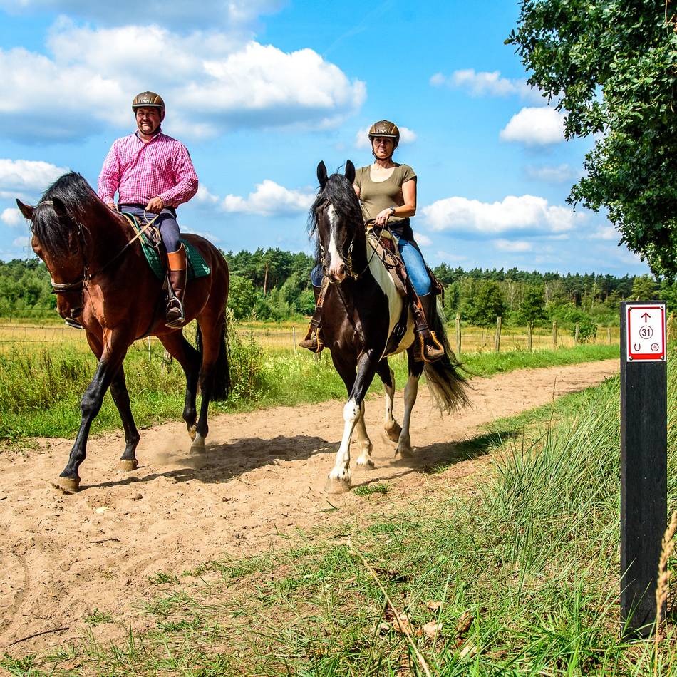 Grenzüberschreitung mit dem Pferd: Reitprojekt will Tourismus beleben und erleichtern