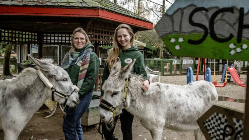 Arche Noah in Meerbusch: Mit Zuversicht ins neue Jahr