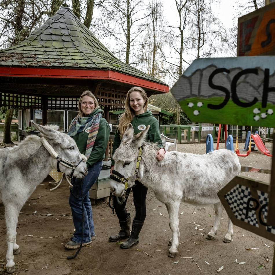 Arche Noah in Meerbusch: Mit Zuversicht ins neue Jahr