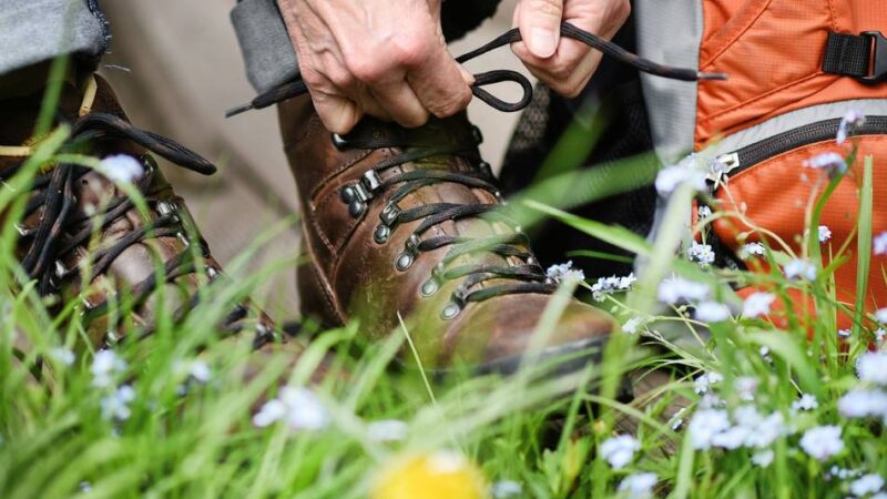 Wandern in Hückeswagen: Jahresabschlusstour mit den Wanderfreunden Dhünn