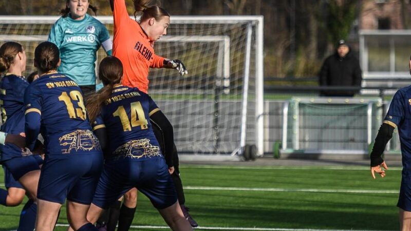 Jugendfußball im Kreis Kleve: Der VfR Warbeyen ist eine Klasse für sich