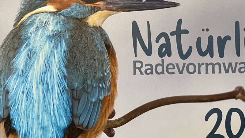 Naturschutz in Radevormwald: Rader Naturschutz-Kalender für 2026 ist erhältlich