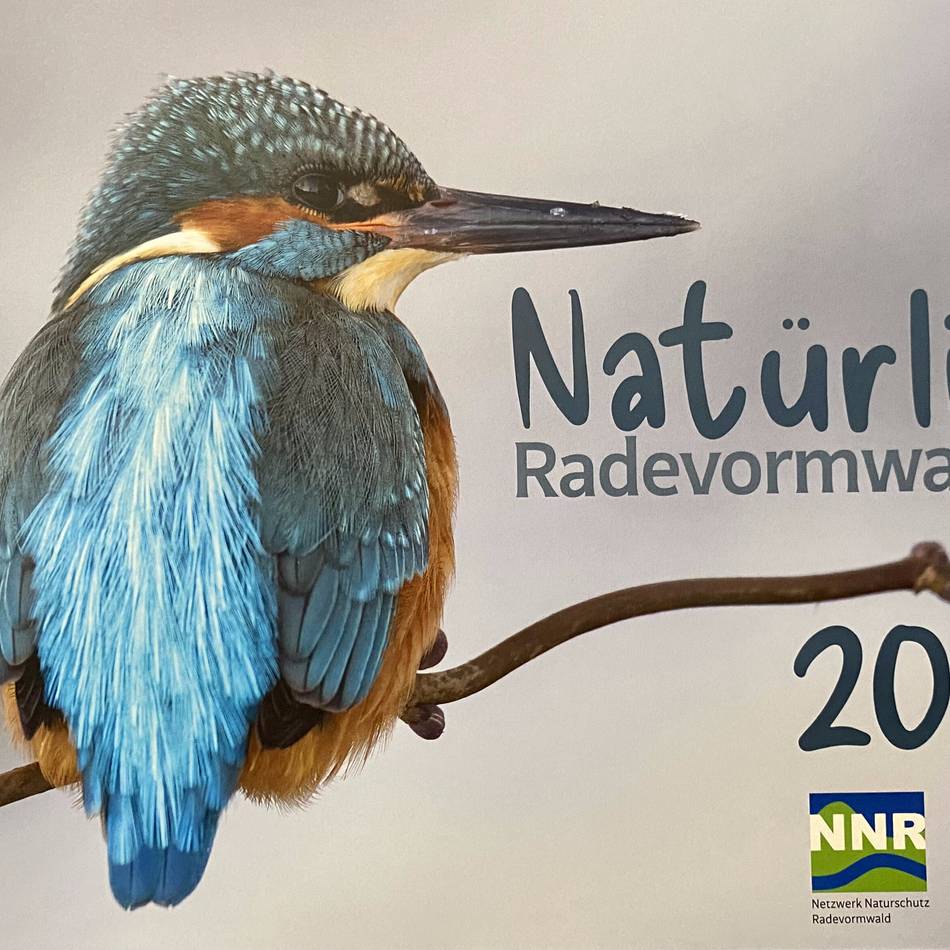 Naturschutz in Radevormwald: Rader Naturschutz-Kalender für 2026 ist erhältlich