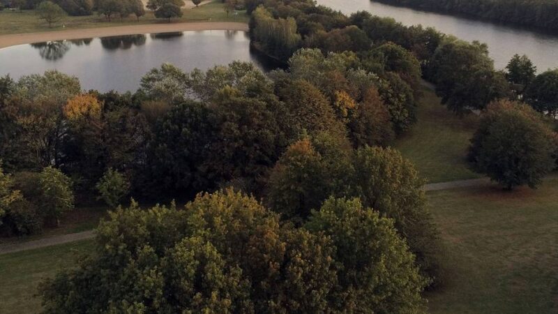 Seuche auch in Krefeld: Erste Geflügelpest-Fälle auf Krefelder Stadtgebiet gemeldet